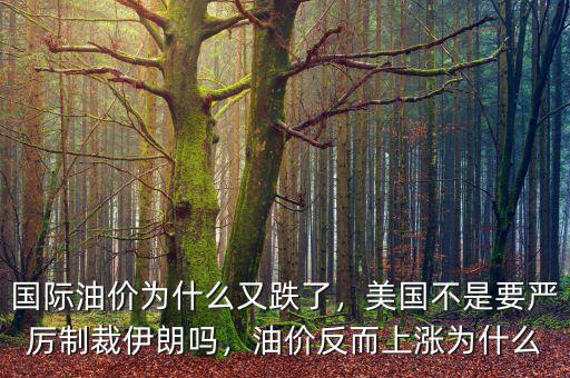 國(guó)際油價(jià)為什么又跌了，美國(guó)不是要嚴(yán)厲制裁伊朗嗎，油價(jià)反而上漲為什么