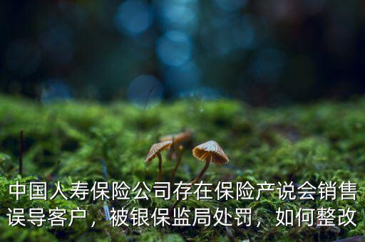 中國人壽保險公司存在保險產(chǎn)說會銷售誤導客戶，被銀保監(jiān)局處罰，如何整改