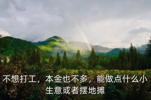 不想打工，本金也不多，能做點什么小生意或者擺地攤