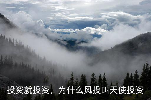 投資就投資，為什么風(fēng)投叫天使投資