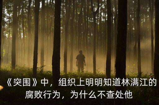 《突圍》中，組織上明明知道林滿江的腐敗行為，為什么不查處他