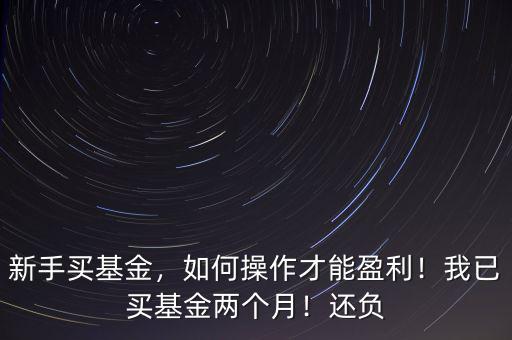 新手買基金，如何操作才能盈利！我已買基金兩個月！還負