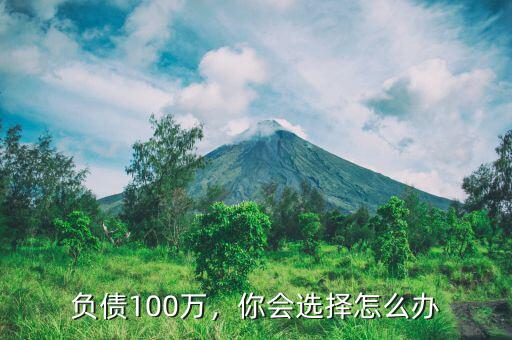 負(fù)債100萬(wàn)，你會(huì)選擇怎么辦