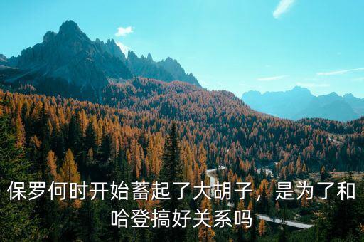 保羅何時(shí)開(kāi)始蓄起了大胡子，是為了和哈登搞好關(guān)系嗎