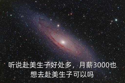 聽說赴美生子好處多，月薪3000也想去赴美生子可以嗎