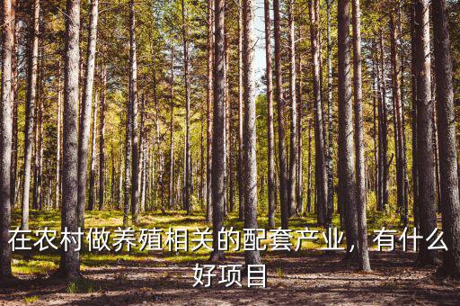 在農(nóng)村做養(yǎng)殖相關(guān)的配套產(chǎn)業(yè)，有什么好項(xiàng)目