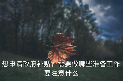 想申請政府補貼，需要做哪些準(zhǔn)備工作要注意什么