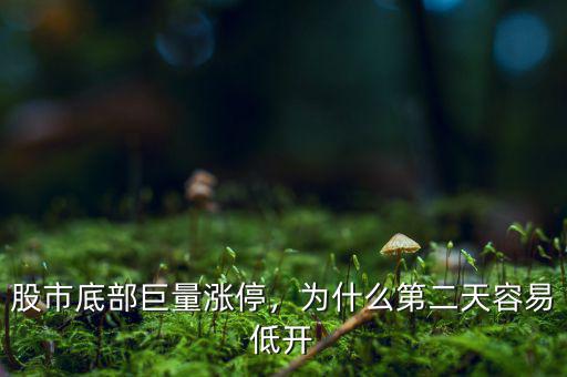 股市底部巨量漲停，為什么第二天容易低開