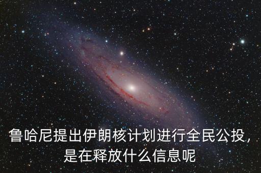 魯哈尼提出伊朗核計(jì)劃進(jìn)行全民公投，是在釋放什么信息呢