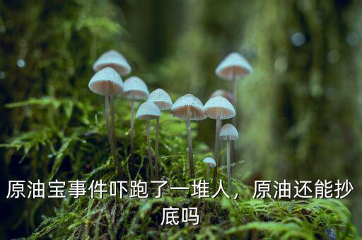 原油寶事件嚇跑了一堆人，原油還能抄底嗎