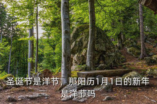 圣誕節(jié)是洋節(jié)，那陽(yáng)歷1月1日的新年是洋節(jié)嗎