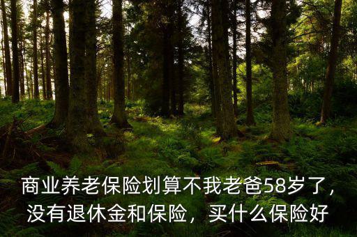 商業(yè)養(yǎng)老保險(xiǎn)劃算不我老爸58歲了，沒(méi)有退休金和保險(xiǎn)，買什么保險(xiǎn)好