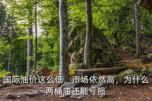 國際油價這么低，市場依然高，為什么兩桶油還能虧損