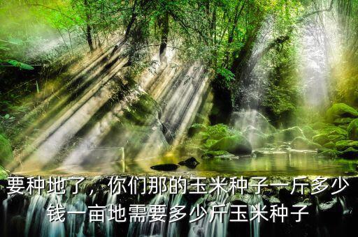 要種地了，你們那的玉米種子一斤多少錢一畝地需要多少斤玉米種子