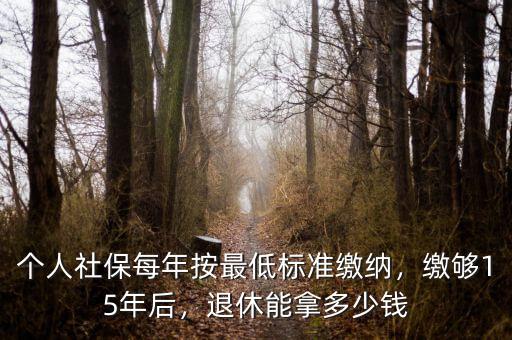 個人社保每年按最低標準繳納，繳夠15年后，退休能拿多少錢