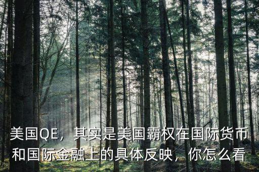 美國QE，其實是美國霸權在國際貨幣和國際金融上的具體反映，你怎么看