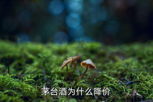 茅臺為什么降價(jià),茅臺會(huì)降價(jià)嗎