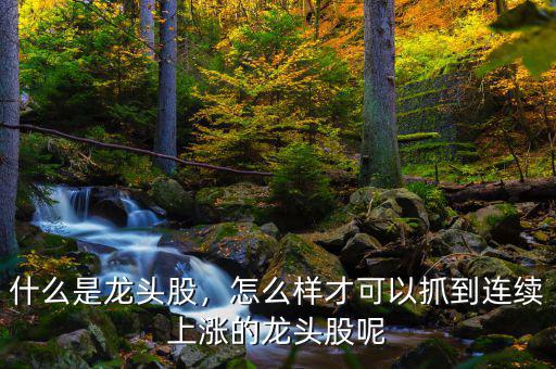什么是龍頭股，怎么樣才可以抓到連續(xù)上漲的龍頭股呢