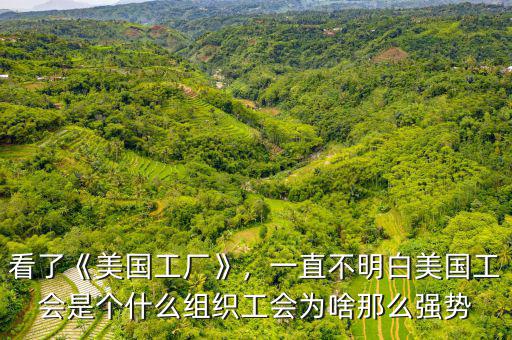 看了《美國工廠》，一直不明白美國工會是個什么組織工會為啥那么強勢