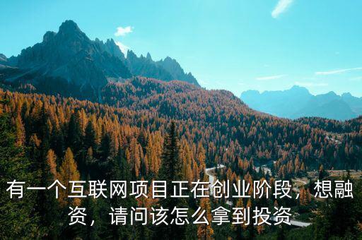 有一個(gè)互聯(lián)網(wǎng)項(xiàng)目正在創(chuàng)業(yè)階段，想融資，請問該怎么拿到投資