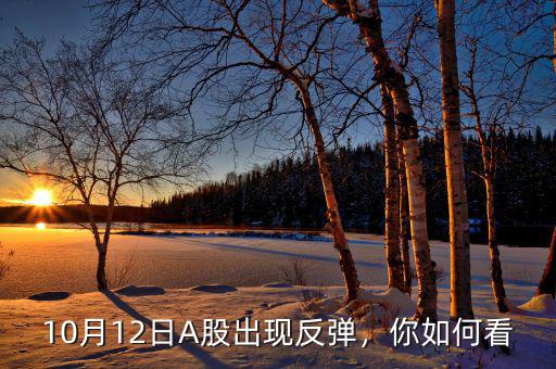10月12日A股出現(xiàn)反彈，你如何看