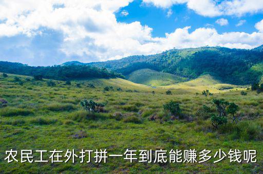 老干媽一年賺多少錢(qián),一年能賺多少錢(qián)