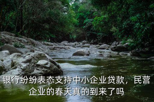 銀行紛紛表態(tài)支持中小企業(yè)貸款，民營企業(yè)的春天真的到來了嗎