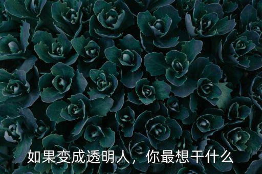 如果變成透明人，你最想干什么