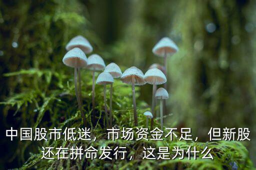 中國股市低迷，市場資金不足，但新股還在拼命發(fā)行，這是為什么