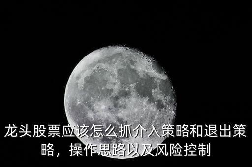 龍頭股票應(yīng)該怎么抓介入策略和退出策略，操作思路以及風險控制