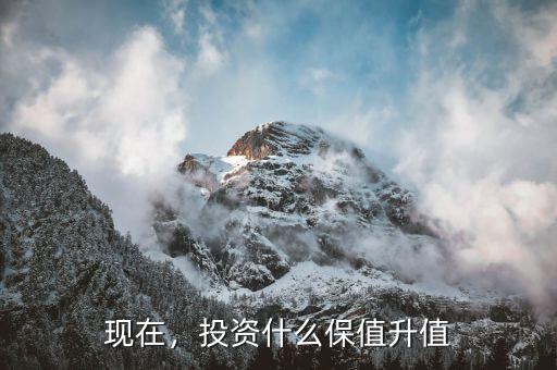 現(xiàn)在，投資什么保值升值