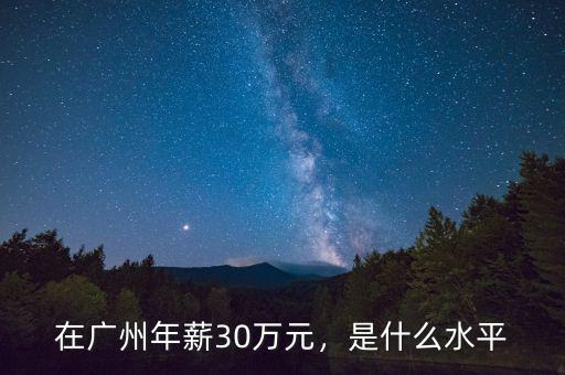 在廣州年薪30萬元，是什么水平