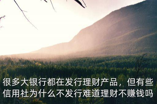 很多大銀行都在發(fā)行理財(cái)產(chǎn)品，但有些信用社為什么不發(fā)行難道理財(cái)不賺錢嗎