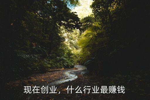 現(xiàn)在創(chuàng)業(yè)，什么行業(yè)最賺錢(qián)