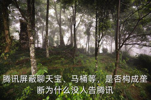 騰訊屏蔽聊天寶、馬桶等，是否構(gòu)成壟斷為什么沒(méi)人告騰訊