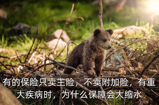 有的保險(xiǎn)只賣主險(xiǎn)，不賣附加險(xiǎn)，有重大疾病時(shí)，為什么保障會(huì)大縮水