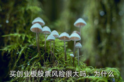 買創(chuàng)業(yè)板股票風(fēng)險(xiǎn)很大嗎，為什么