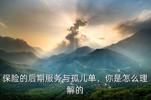 保險(xiǎn)的后期服務(wù)與孤兒單，你是怎么理解的