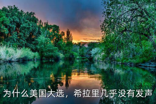 為什么美國大選，希拉里幾乎沒有發(fā)聲