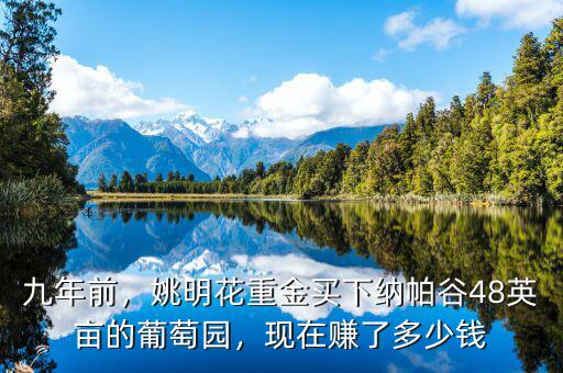 九年前，姚明花重金買下納帕谷48英畝的葡萄園，現(xiàn)在賺了多少錢