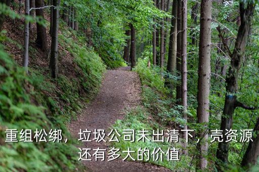 重組松綁，垃圾公司未出清下，殼資源還有多大的價值