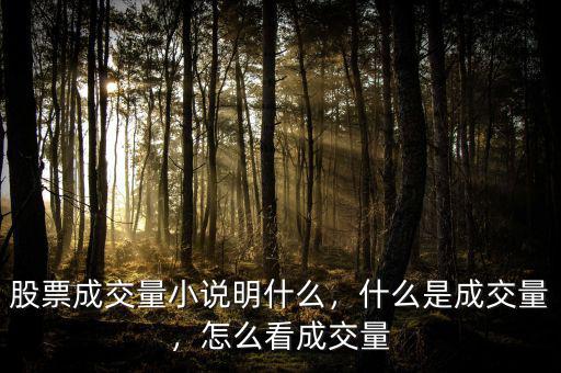 股票成交量小說明什么，什么是成交量，怎么看成交量