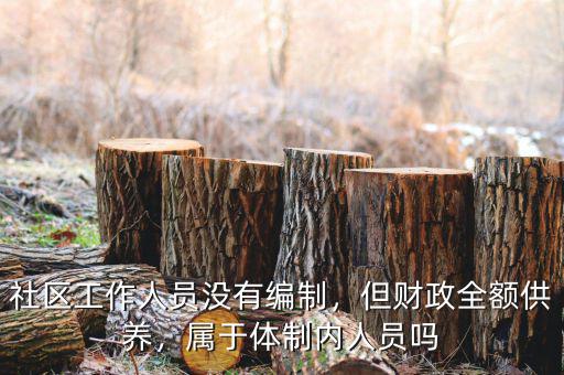 社區(qū)工作人員沒有編制，但財政全額供養(yǎng)，屬于體制內人員嗎