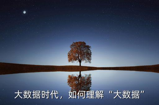 大數據時代，如何理解“大數據”