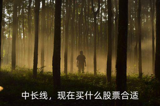 中長(zhǎng)線(xiàn)，現(xiàn)在買(mǎi)什么股票合適