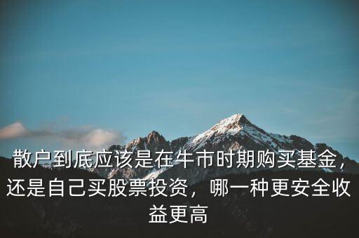 散戶到底應該是在牛市時期購買基金，還是自己買股票投資，哪一種更安全收益更高