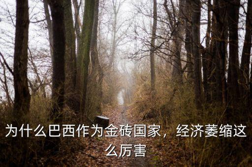 巴西經(jīng)濟(jì)為什么會崩潰,經(jīng)濟(jì)萎縮這么厲害