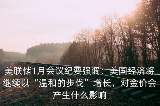 美聯(lián)儲(chǔ)1月會(huì)議紀(jì)要強(qiáng)調(diào)：美國經(jīng)濟(jì)將繼續(xù)以“溫和的步伐”增長，對金價(jià)會(huì)產(chǎn)生什么影響