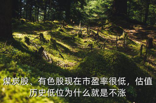 煤炭股、有色股現(xiàn)在市盈率很低，估值歷史低位為什么就是不漲