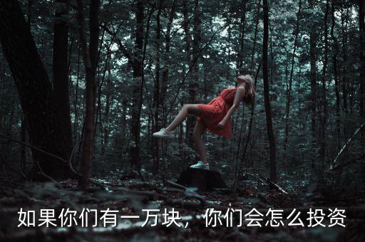 如果你們有一萬塊，你們會怎么投資